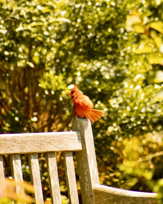 Nature photography by Zack Jenkin