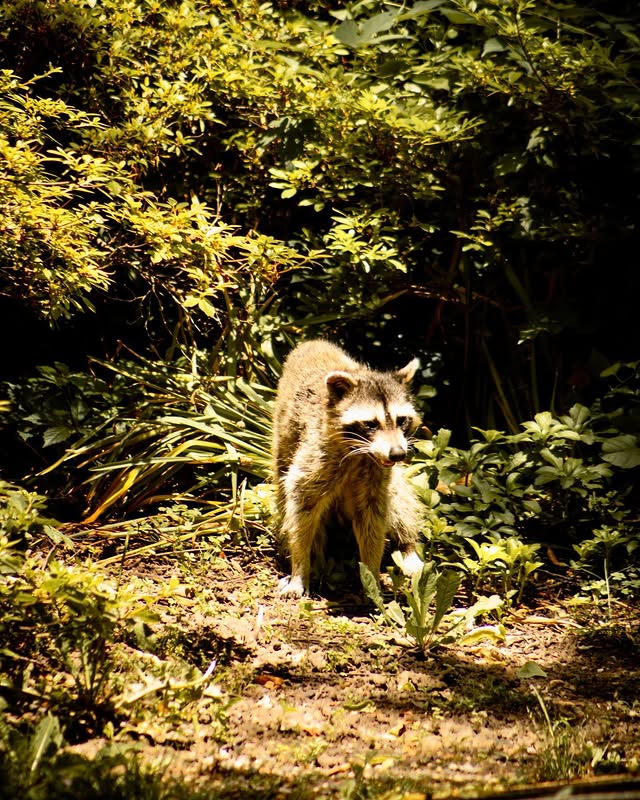 Nature photography by Zack Jenkin