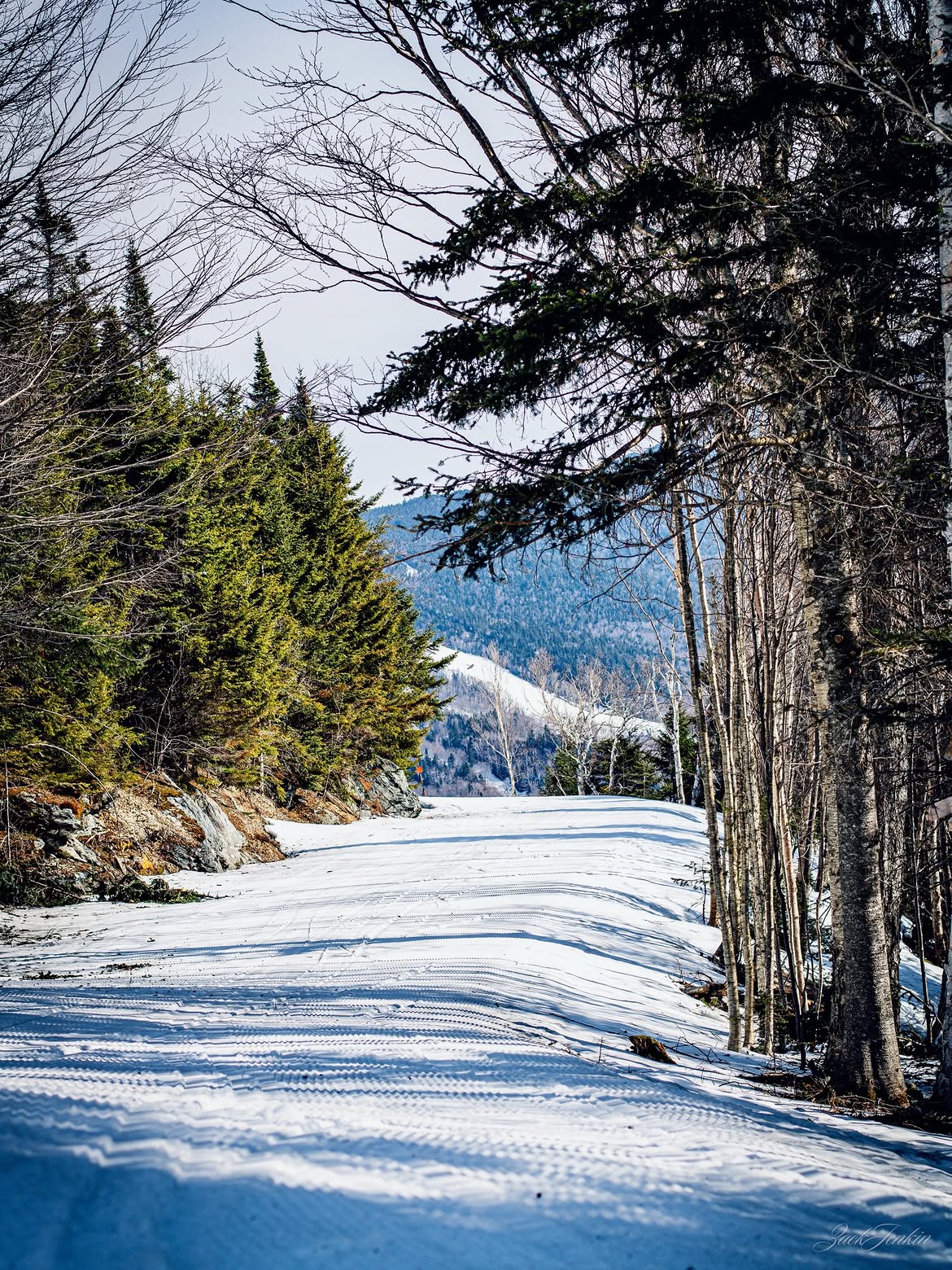 Nature photography by Zack Jenkin